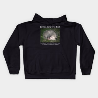 Schrodinger's Cat / Opossum Kids Hoodie